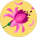Lorena Rivas profile picture
